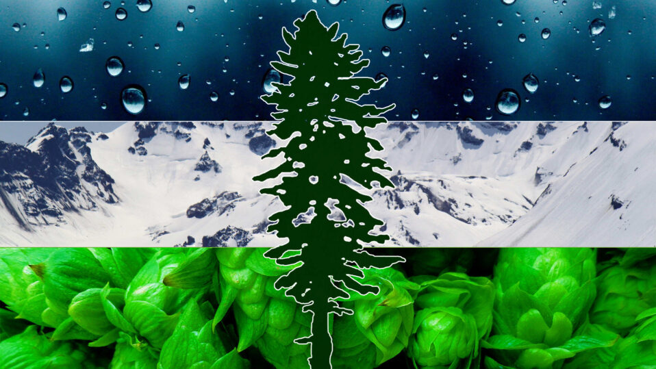 We’ve launched a Cascadia Discord Server!